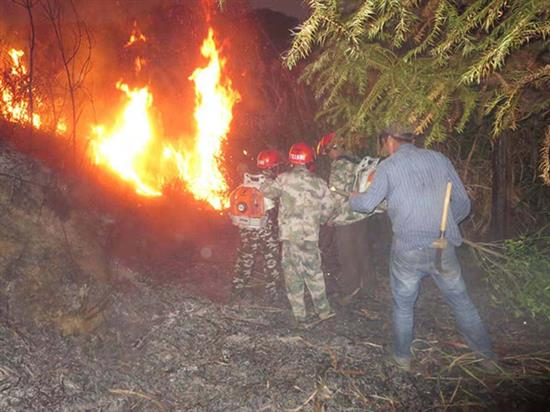 林中起火，下党乡义务消防队执行灭火任务。